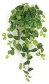 48" Pothos Bush - Soft Touch - 137 Leaves - Green/Yellow