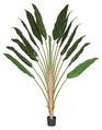 8 feet Traveller Palm Tree - Synthetic Trunk - 14 Green Fronds - 1 Bud