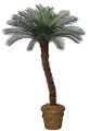 5 Foot Cycas Palm Tree - Polyblend® Trunk - 24 Fronds