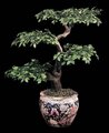 Custom Made Faux Life Like Ming Ficus Bonsai