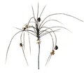 Halloween Monkey Grass Sold in a set of 6