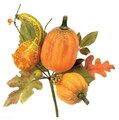 Pumpkin/Gourd Pick (Sold per dozen)