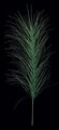 49 inches PVC Coco Palm Branch Sold by the dozen