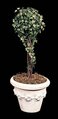 Faux English Ivy Topiary 1 Ball