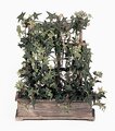 Faux Life Like Home Accent Pittsburgh Ivy Wooden Window Frame