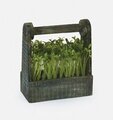 Kitchen Decorating Accessory Bean Sprout in Wooden Box