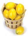 A-102400 3.5" Lemons sold by the dozen