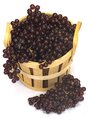 Dark Wine Grape Cluster Sold by the dozen