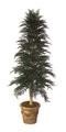 Custom Made  Outdoor Juniper Tree Comes in Various Sizes