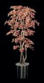 W-4203 Mini Japanese Maple Tree Red/ Brown