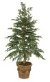 W-1889 Custom Outdoor Hemlock Tree on natural wood Trunk-  2.5 feet - 3 feet Wide Indoor/Outdoor