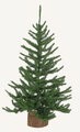 36" Mini Pine Accent Tree