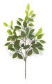22 inches Length Plastic Ficus Spray Sold Per Dozen