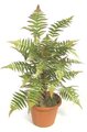 Faux Life Like 34" Forest Fern Cluster House Plant