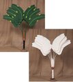 7'Canvas Curved Travelers Palm Tree