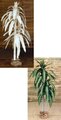 5' Tall Canvas Fortune Palm Natural or Painted