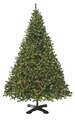 12 feet- 30 feet Tall Giant Virginia Pine Christmas  Tree  Comes with your choice of lights or no lights