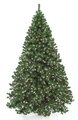 7.5 feet Tall - 10 feet Tall Deluxe Virginia Pine Christmas Tree With or without Lights