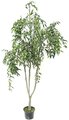 Faux Life Like 54" Curly Willow Tree