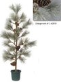 54" Frosted White Pine Christmas Tree