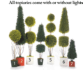 Pine Topiary Collection Comes with or without lights