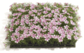 Plastic Sprengerii Mat with Plastic Flowers - 10 inches Square - Green/Pink (Sold in a set of 3)