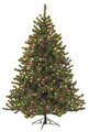 C-84702 7.5' & 9'  Virginia Pine Christmas Tree with Multi Colored Lights