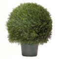 EF-3338 Cypress Ball in Plastic Pot Indoor/Outdoor(Comes in Two Sizes  20 inches Wide and 24 inches wide)