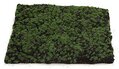 A-70133 12 inches x 12 inches Green Moss Mat (Sold in a set of 3 PC)