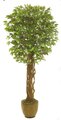 EF-8005 5' Outdoor UV Coated  Ficus Tree
