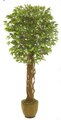 EF-8005 5 feet Outdoor UV Coated  Ficus Tree