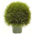 EF-3393  18 inches Wide Ball 21 inches Tall  Acorus Grass Ball Topiary