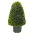 EF-3399 28 inch Cedar Cone Topiary
