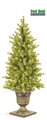 C-30240  4' TO 6' Ashland Spruce Entrance Tree Green with lights/urn as shown