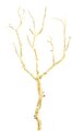 Ef-QSW006-NA 22 inches Plastic Twig Branch Natural Color (Sold in a set of 6pc)