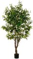 EF-LPF624-GR 6' Outdoor Ficus  Trees 1850 LVS (Price is for 2 Trees*)