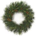 36" Mixed Austrian Sugar Pine Wreath - Common Juniper and Pine Cones