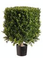 EF-221  21" Tall Plastic Boxwood Square Topiary 14" Boxwood height Foliage 14" Wide Indoor/Outdoor (***Price is for a set of 2 PC)
