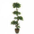 EF-1809 6' Quintuple Ruscus Topiary 3706 Lvs Elmwood Trunk
