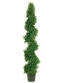 EF-552 5' Spiral Pond Cypress Topiary w/1492 Lvs. in Plastic Pot Green Indoor/Outdoor