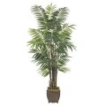 EF-1800   6' Areca Palm Tree  602 Lvs
