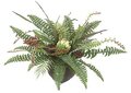 P-80210 15" Mixed Arrangement with Boston Fern and Artichoke - 32" Width - Brown Square Pot
