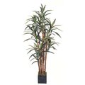 EF-5568 5' Yucca Dracaena Plant w/172 Lvs In Wooden Pot