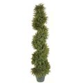 EF-3297 4 feet Pond Cypress Spiral 1130 LVS Indoor/Outdoor