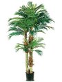 EF-801  6' 4' 2' Phoenix Palm Tree in Round Pot Green (Price is for a 2pc set)