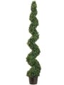 EF-716  6' Knock-Down Pond Boxwood Spiral Topiary in Plastic Pot Green Indoor/Outdoor