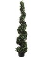 EF-235  60" Citrus Leaf Spiral Topiary in Pot Two Tone Green Indoor/Outdoor (Price is for a 2 pc set)