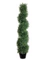 EF-814  4 feet Spiral Cedar Topiary in Plastic Pot Green Indoor/Outdoor (Price is for a 2pc set)