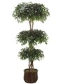 EF-4094  8' Ficus Triple Ball Topiary in Willow Basket