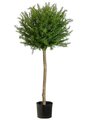 EF-454 45"  Rosemary Topiary in Plastic Pot Green (Price is for a 2PC Set)